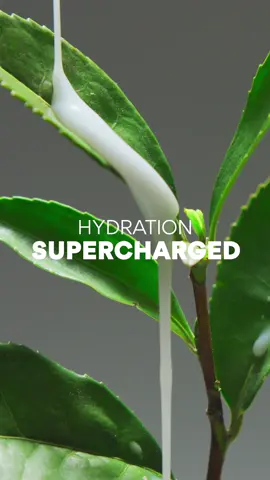 When it comes to needing hydration, our Green Tea won’t let you down! 🍃 One of the key ingredients of the Green Tea Ceramide Milk Barrier is the Super Green Tea™! It’s made from Beauty Green Tea extract and Green Tea Seed Oil to give you the deep hydration that your skin needs. @Innisfreeofficial  #innisfree #innisfreephilippines #innisfreeGreenTea #GreenTeaCeramideMilk #milkytoner 