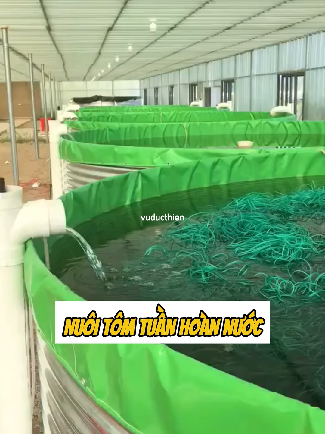 Theo như bác chủ trại cho biết thì, 1 ao nuôi tôm tuần hoàn hoàn chỉnh như thế này có giá hơn một nghìn nhân dân tệ (tương đương ~3,7 triệu VND)#nuoitomtrungquoc #nuoitomcongnghecao #vuducthien #nuoitom