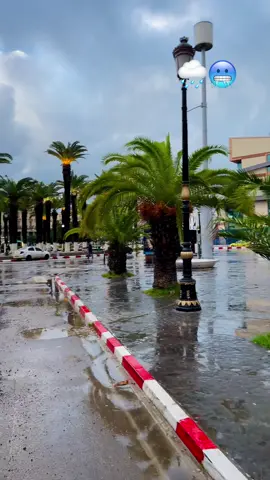 #شعب_الصيني_ماله_حل😂😂 #annaba23 #عنابة_جوهرة_الشرق #تونس🇹🇳 #قسنطينة 