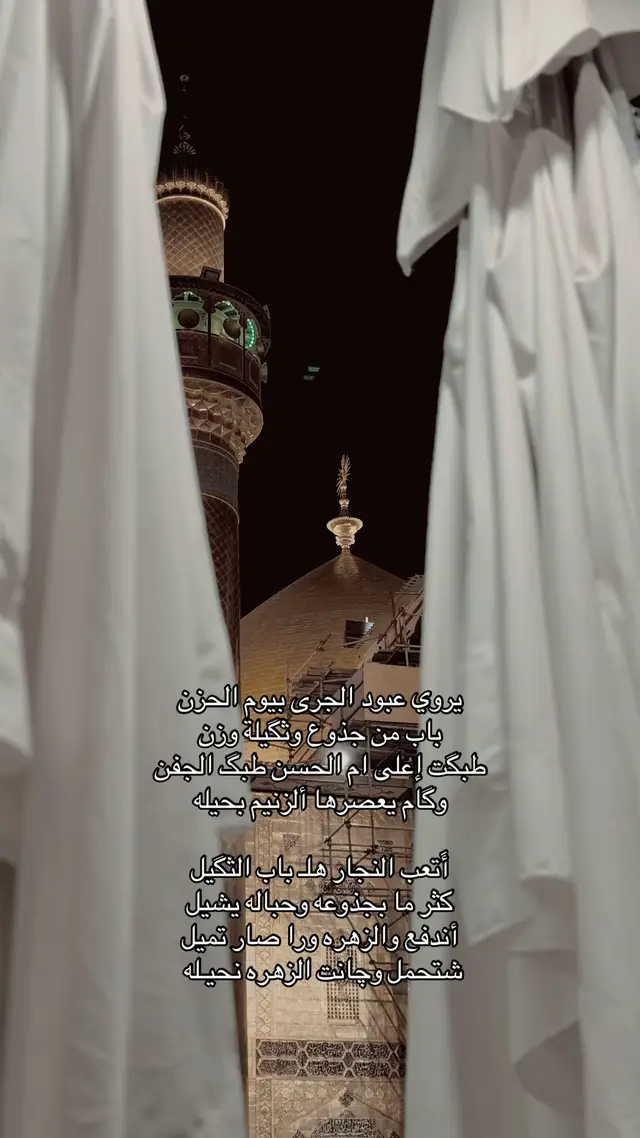 #fyppppppppppppppppppppppp #استشهاد_فاطمه_الزهراء #اللهم_صل_على_محمد_وآل_محمد #النجف_الأشرف 