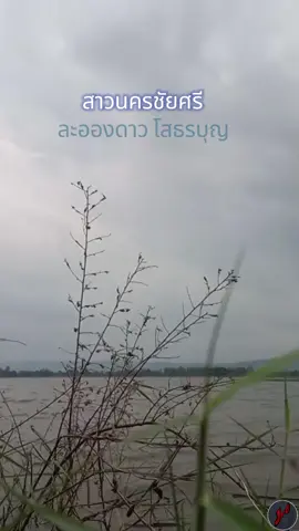 #สาวนครชัยศรี #ละอองดาวโสธรบุญ #เพลงลูกทุ่ง #เพลงเก่าที่คิดถึง #เต็มเพลง 