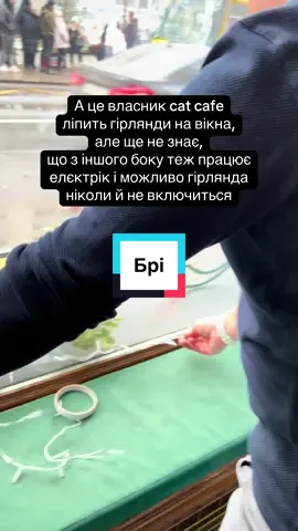 #catcafe #мамакішка #іванофранківськ 