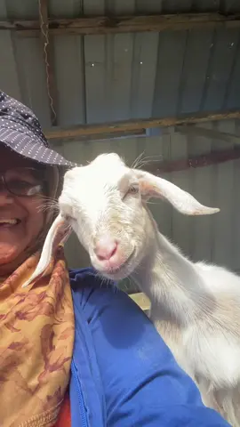 Dia pon tau ..muntah ..tenguk Muka diri sendiri 🤭🤣l