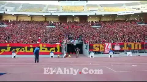 تعال نكسب افريقيا #الاهلي #ahly #التراس_اهلاوي #fyp 