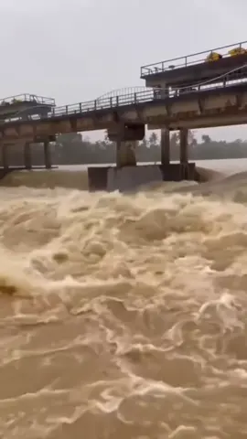 Vì chúng ta là đồng bào, là con dân Việt Nam, Thương bà con vùng ngập lũ lắm!❤️ #xuhuong #baolu #mientrung #chiase #tâmtócdài 