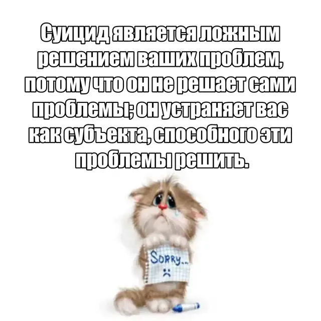 #экзистенциальныемемы #sadshitpost #MentalHealth #ragecomic #fyp #shitpost #dailyreminder  . . . Котята - это детеныши домашней кошки в возрасте от рождения до достижения половой зрелости, которая обычно наступает в 6-9 месяцев. Этот период жизни характеризуется интенсивным ростом, развитием и освоением ключевых навыков, необходимых для самостоятельной жизни. Новорожденные котята (первые 1-2 недели) полностью зависят от матери: они рождаются слепыми, с закрытыми слуховыми проходами, их вес составляет около 100 граммов. В это время они способны только на инстинктивные действия - сосать молоко и спать, а их основная задача - рост и терморегуляция, поэтому они постоянно стремятся быть near матери и однопометников. Примерно на 7-14 день у них открываются глаза (цвет которых изначально голубой у всех пород) и начинают формироваться слуховые каналы. К концу третьей недели котята уже могут слышать, их глазки полностью открыты, и они начинают делать первые неуверенные шаги, учась ходить. Этот этап знаменует начало критически важного периода социализации (примерно с 2 до 7-9 недель), когда котята активно познают окружающий мир, учатся взаимодействовать с братьями и сестрами, осваивают кошачий 