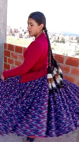 #alegre #paceñita #feliz #fyp #bailando 