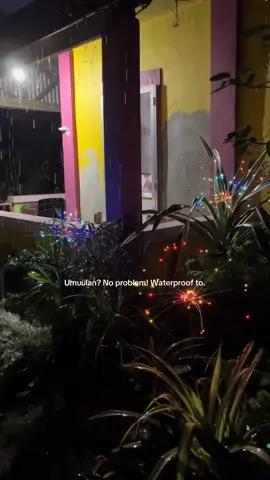 Umuulan na? No problem! 🌧️ Look at how these firework solar lights shine brightly, kahit binabagyo ng ulan! ✨ Waterproof and automatically re-charging, you get beautiful garden lights without the stress. 😍 Super tipid sa kuryente! Click the yellow basket to bring this magic home! 👇  #ChristmasLights #WaterproofLights #GardenDecor #TipidSaKuryente #fireworklights 