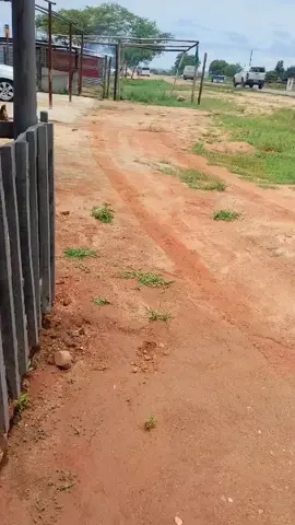 @De blue shisanyama and car wash