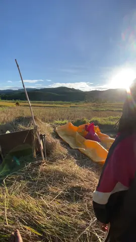 Bình yên thật😆