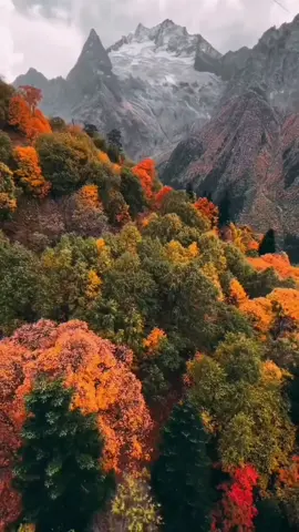 #george1964  #Too Much Heaven (1979)  #Bee Gees  #tiktokuni  #เพลงเพราะๆโดนใจ🥀❤❤🥀 