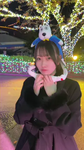 イルミネーションgoodでしたd(^_^o)🐾 #おすすめ #fyp #よみうりランド 