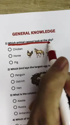 @norcubes @whois_reyah relapse muna #relapsetime #CapCut 