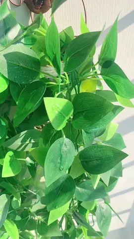 #artificialplants #artificialflower #hiasanrumah #goodthing #artificialgrass 