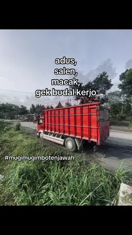 inpo antrian🙋‍♂️ #foryourpageeeeeeee #tembuspagi #storytruck 