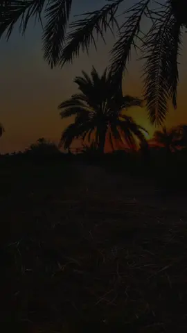 #راحلين_بغير_ودا؏🕊💔 #شعراء_وذواقين_الشعر_الشعبي🎸 #الشعب_الصيني_ماله_حل😂😂 #تصويري_احترافي_الاجواء👌🏻🕊😴 #بابك علي منيت سد بابك وروح