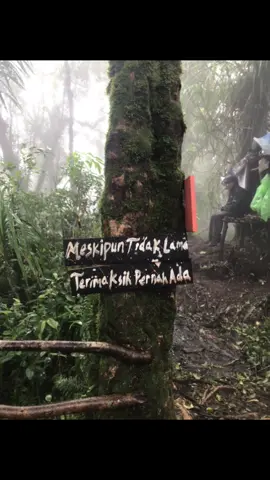 #fypppp#galaubrutal🥀 #masukberanda fypp