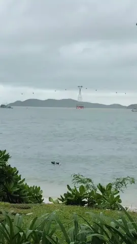 Tránh lũ ta checkin tamn khu nghỉ dưỡng 5 sao vạy 🐥🐥 #lũlụt #lũlutmientrung #viral #xuhuong 