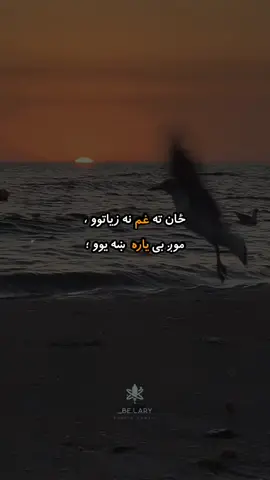 د يارۍ له نامه کرکه لرم💔✋#fyp #ForYou #foryoupage #viral #viralvideo 