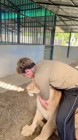 ยาแก้ปวดหลังต้องเข้ากูแล้ว😂😂 #มเหสี #ป้าเกมส์พี่หนิง #สรพงษ์ #หนิง #คู่รักสายฮา    