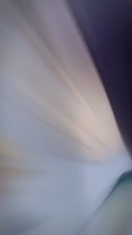 huhu Shou ơiii😭😭tuần sau là thấy đc anh em soba r|| #shoto #todorokishoto #mha #myheroacademia #fyp 