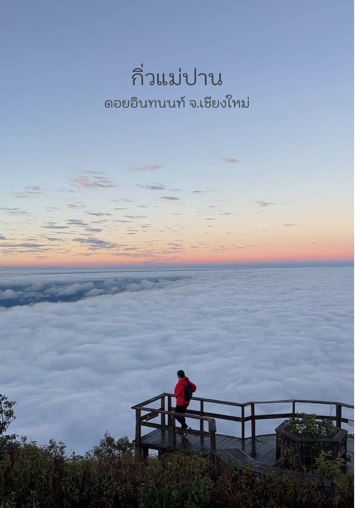 ทะเลหมอก เส้นทางศึกษาธรรมชาติ กิ่วแม่ปาน (21/11/68) #เพจฤดูเที่ยวEnjoymylife #กิ่วแม่ปานดอยอินทนนท์ #กิ่วแม่ปาน2025 