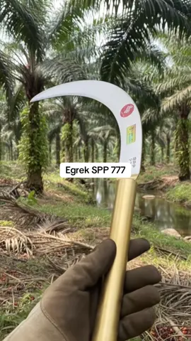 Egrek spp 777 alat penen sawit sabit baja#egreksawit #egrek #sawitriau #sawitkalimantan #fyp 