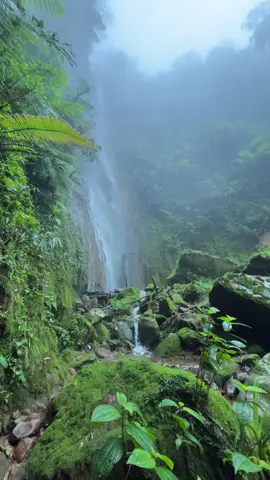 #fyp #gunung #curug #alam #pulosaripandeglang 