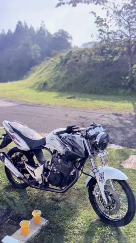 guyon makk😭🗿 #tiger #celeng #herex 