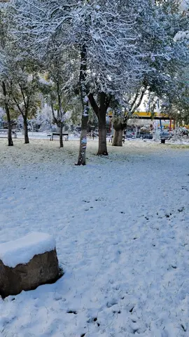 #setif______19 #سطيف_العالي_ٱخاالي #سطايفية____كامل____يبانو___لهنا__😍 #سطيف_العـالـي #ثلج 