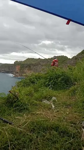 doubel streek umpan terbaik untuk baby pogot adalah baby gurita, pas lagi musim gini bisa dapet satu karung djamin😃 #fyp  #fhising #rockfishing #anglerindonesia 