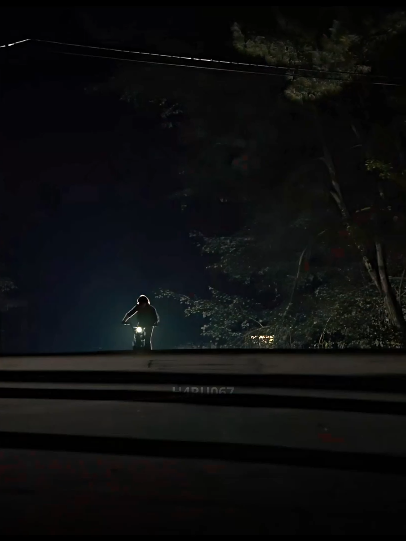 stranger things x california dreamin' . . stranger things edit | song name : california dreamin' by the mammas&the papas . #strangerthings #edit4k #aestetic