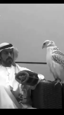 #اشيخ_خليفه_بن_طخنون_بن_محمد_ال_نهيان #الامارات_العربية_المتحده🇦🇪 #uae #f