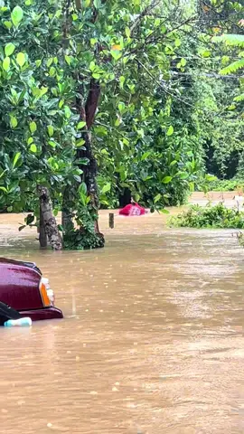 น้องวัวจะจมน้ำำำเเล้ววสงสารเเต่ของช่วยตัวเองก่อนนะ😅#ควนลังหาดใหญ่ #น้ําท่วม68 #ข่าวน้ําท่วมล่าสุด #น้ําท่วมแล้ว #ท่วม 