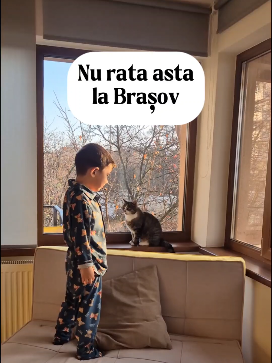 Dacă ai în plan o vizită în Brașov, uite 3 activități de neratat. Sunt potrivite mai ales celor care călătoresc împreună cu cei mici. #romaniafrumoasa   #travelkids    #pinguini  #brasovromania  #cazarelacaruta 