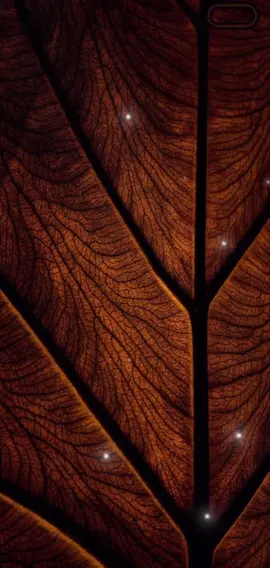 #foryoupage #creatersearchingsight #tamilsong #ovvorupadalilum #tamilsong 