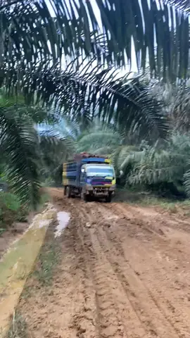 #fyp #sawitbalap🤙 