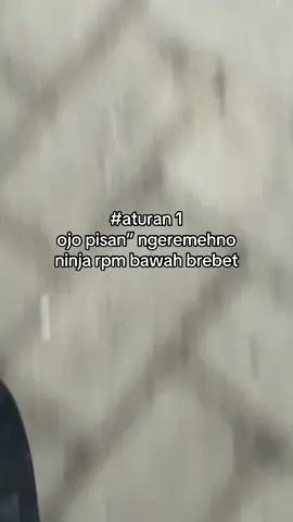 mlakuo disek😘👋🏻 #4u #ninjass #ninja #fyp #jembertiktok 
