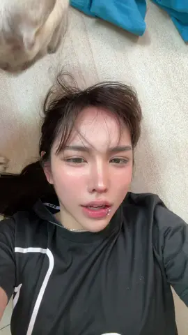 เสา #เศร้า #lipsync #การ์ตูน #dog #tiktok 