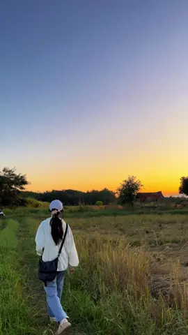 #ฟอลมาฟอลกลับ #ตีปลาช่อน #หมายข้างทาง #ธรรมชาติ 