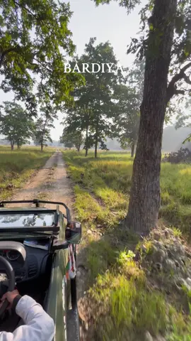 📍Bardiya National Park #fyp #nepal #viral #foryoupage #trending 
