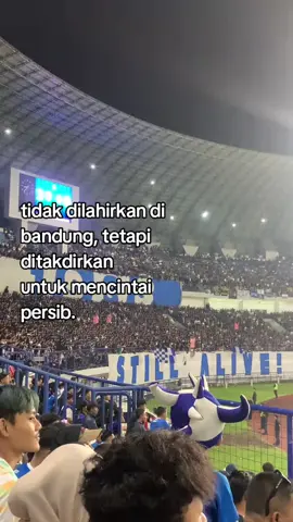 cinta yang tidak akan menjadi mantan #persibbandung #viking#fyp 