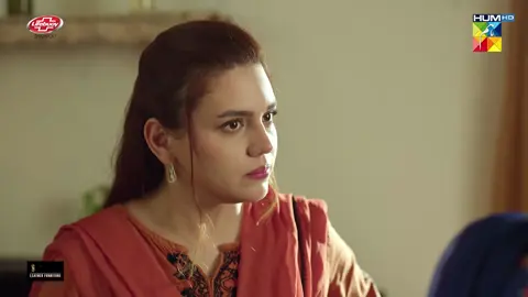 #WhatToWatch #HUMTV #EkJhootiKahani #ZaraNoorAbbas #MohibMirza