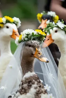 #foryou #viraltiktok #foryou #fypシ゚viral #grow @TheKidsWonderstv88 @AI HINDI CARTOON VIDEOS 