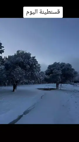 #قسنطينة_زمان #عاصمة_الشرق_الجزائري #الحمدلله_دائماً_وابداً 