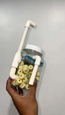 Diy filter #DIY #ปลาบอลลูน #กรอง 