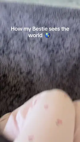 BESTIE 😔 JUST DRINK MILK 🥛 AND EAT CHEESE 🧀 #bestie #viral #fyp #foryoupage #beingshort 