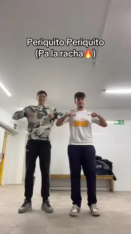 Periquito periquito🗣️#fyp #ermitasurvivors #voleyball @DjMaRiiO 