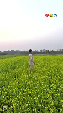 আমার স্বপ্ন দেশ সৌদিসবাই আমার জন্য দোয়া করবেন আমার দোয়া আপনাদের সাথেই আছে সবার জন্য দোয়া করবেন যেন সব প্রবাসী ভাই উন্নত করতে পারে 👋👋✈️💔😅