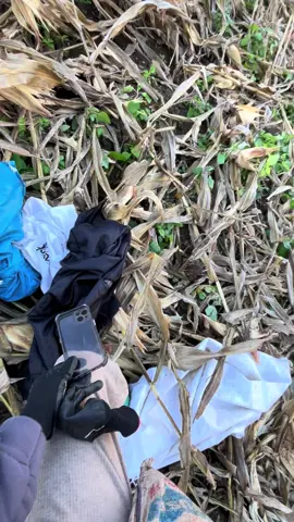 Mất tích cả ngày là đây 🤨